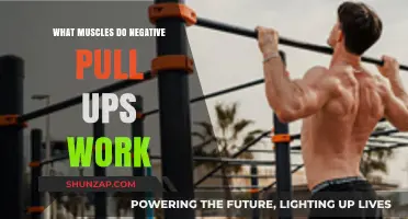 Negative Pull-Ups: Targeted Muscles and Strength-Building Benefits Explained