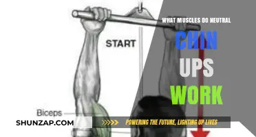 Neutral Chin Ups: Targeted Muscles and Benefits Explained