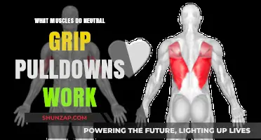 Neutral Grip Pulldowns: Targeted Muscles and Benefits Explained