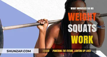 Bodyweight Squats: Targeted Muscles and Benefits for Strength Training