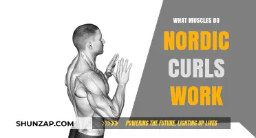 Nordic Curls: Targeted Muscles and Benefits for Stronger Hamstrings