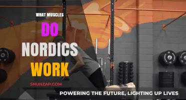 Nordic Curls: Targeted Muscles and Benefits for Strength Training