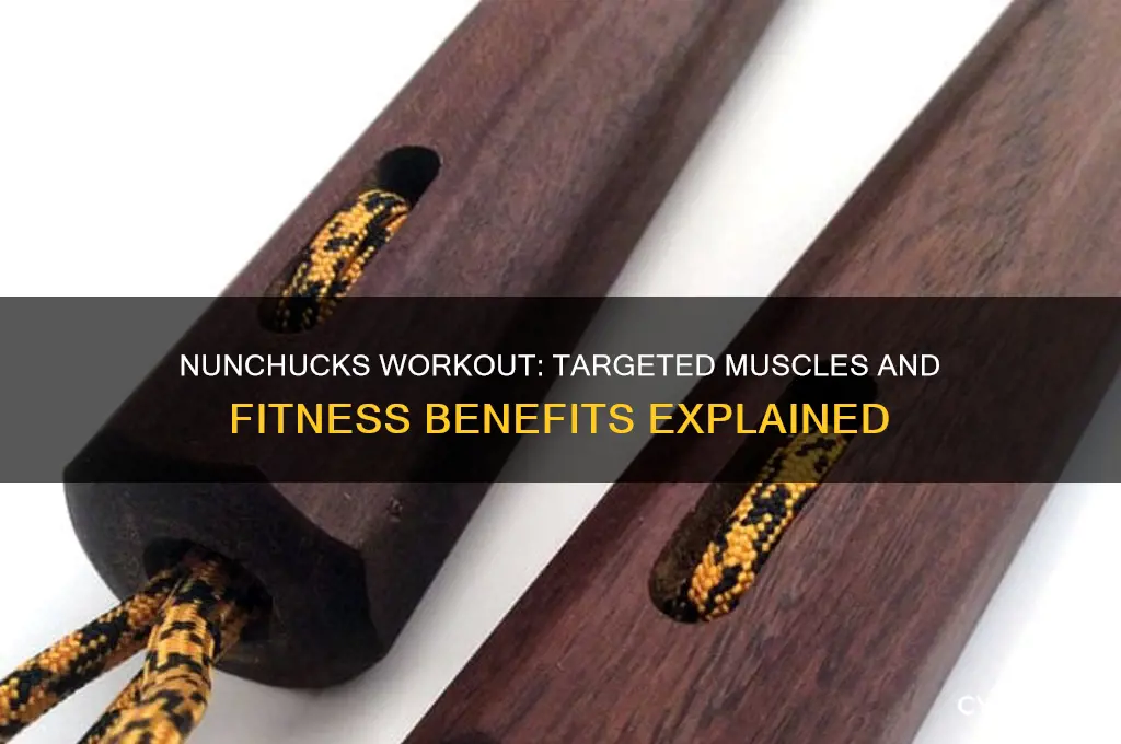 what muscles do nunchucks work