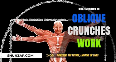 Oblique Crunches: Targeted Muscles and Core Strengthening Benefits Explained