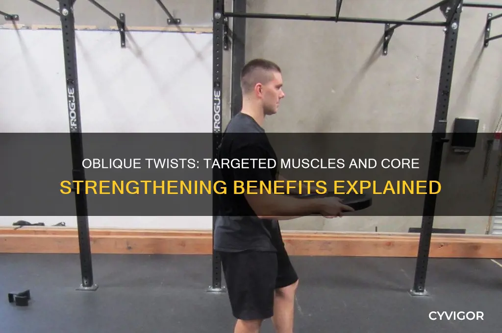what muscles do oblique twists work