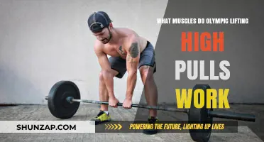 Olympic Lifting High Pulls: Targeted Muscles and Benefits Explained