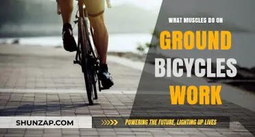 Ground Bicycle Workout: Targeted Muscles and Fitness Benefits Explained