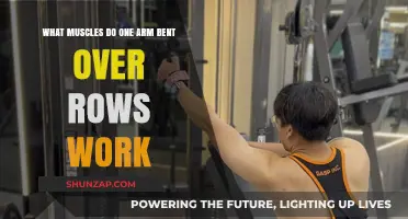One Arm Bent Over Rows: Target Muscles and Benefits Explained