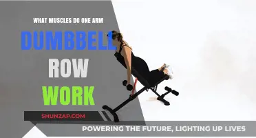 One Arm Dumbbell Row: Targeted Muscles and Benefits Explained