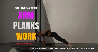 One Arm Plank Muscles: Core, Shoulders, and Stability Benefits Explained