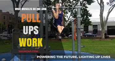 One Arm Pull Ups: Muscles Worked and Strength Benefits
