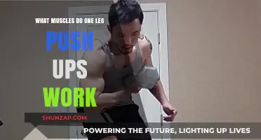 One Leg Push Ups: Targeted Muscles and Benefits Explained