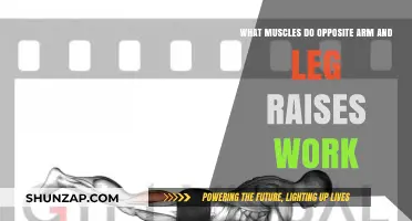 Opposite Arm and Leg Raises: Target Muscles and Benefits Explained