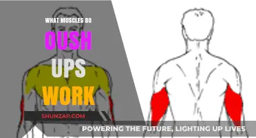Push-Ups: Unlocking the Muscles They Target and Strengthen