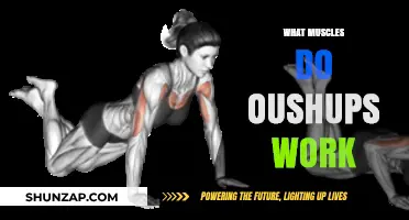 Pushups: Unlocking the Muscles They Target and Strengthen