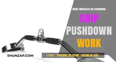 Overhand Grip Pushdown: Targeted Muscles and Workout Benefits Explained