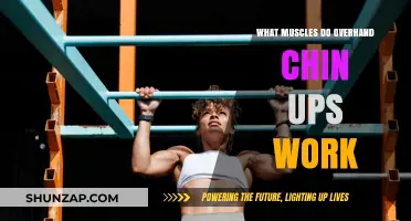 Overhand Chin-Ups: Targeted Muscles and Strength Benefits Explained