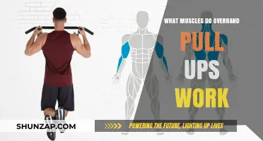 Overhand Pull-Ups: Target Muscles and Strength Benefits Explained