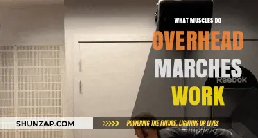 Overhead Marches: Targeted Muscles and Benefits for Upper Body Strength