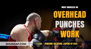 Overhead Punches: Targeted Muscles and Benefits for Upper Body Strength