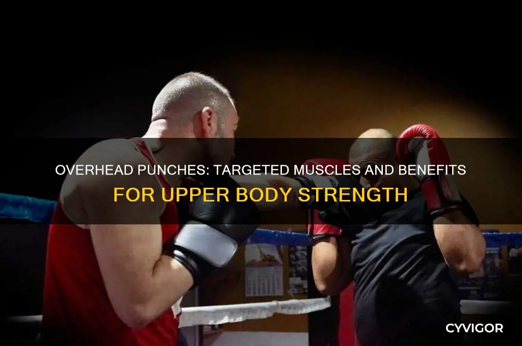 what muscles do overhead punches work