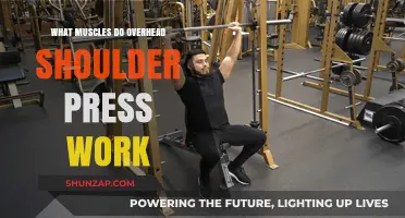 Overhead Shoulder Press: Muscles Worked and Benefits Explained