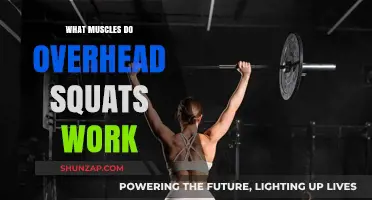 Overhead Squats: Targeted Muscles and Full-Body Benefits Explained
