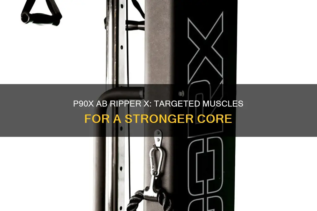 what muscles do p90x abripperx work
