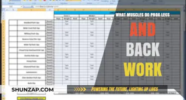 P90X Legs and Back Workout: Targeted Muscles Explained