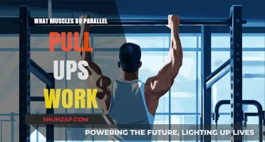 Parallel Pull-Ups: Targeted Muscles and Benefits for Upper Body Strength