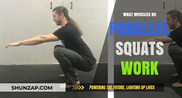 Parallel Squats: Targeted Muscles and Benefits for Lower Body Strength