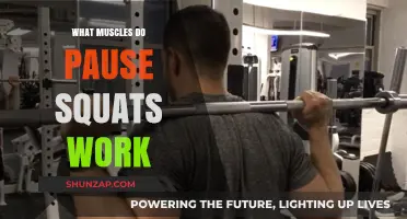 Pause Squats: Targeted Muscles and Benefits for Strength Training