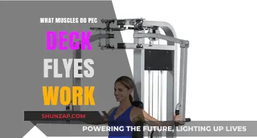 Pec Deck Flyes: Targeted Muscles for Chest and Shoulder Strength