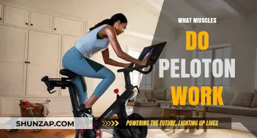 Peloton Workouts: Targeted Muscles and Full-Body Benefits Explained
