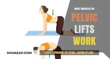 Pelvic Lifts: Targeted Muscles for Core Strength and Stability