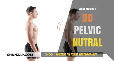 Pelvic Neutral: Which Muscles Are Key?