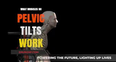 Pelvic Tilts: Targeted Muscles for Core Strength and Stability