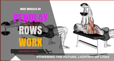 Pendlay Rows: Target Muscles and Benefits for Strength Training