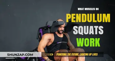 Pendulum Squats: Targeted Muscles and Benefits for Lower Body Strength