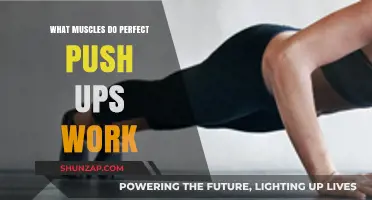 Mastering Push-Ups: Targeted Muscles for Perfect Form and Strength