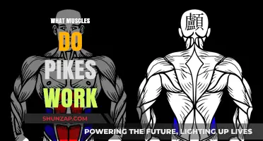 Pikes Workout Benefits: Targeted Muscles and Strength Training Explained
