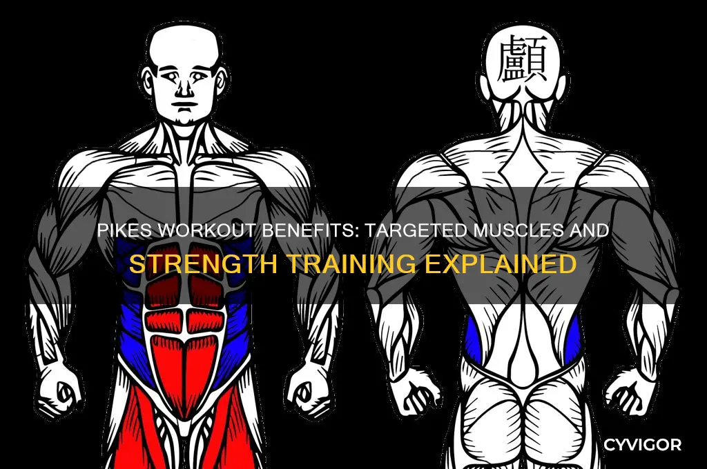 what muscles do pikes work