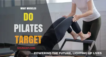 Pilates Power: Targeting Muscles for Total Body Strength