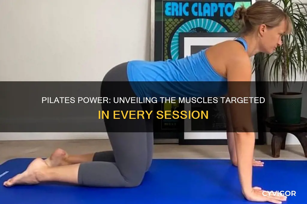 what muscles do pilates work