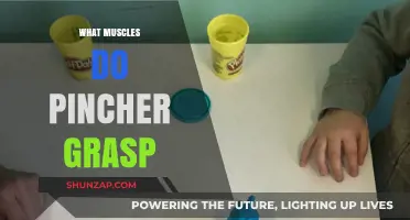 Developing Fine Motor Skills: The Muscles Behind a Pincher Grasp