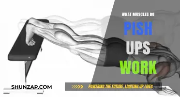 Push-Ups Unveiled: Targeted Muscles and Full-Body Benefits Explained
