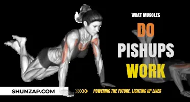 Pushups: Target Muscles and Full-Body Benefits Explained