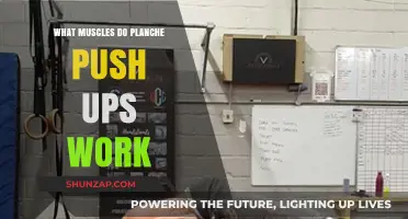Planche Push-Ups: Targeted Muscles and Advanced Strength Benefits