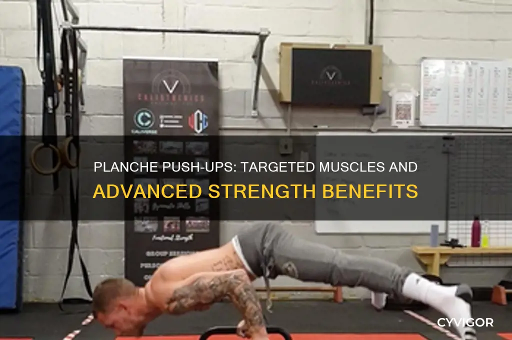 what muscles do planche push ups work