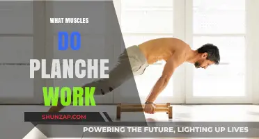 Planche Power: Unlocking the Muscles Behind This Advanced Calisthenics Move